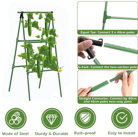Phueglado adjustable-height trellis adapts to plant growth across seasons