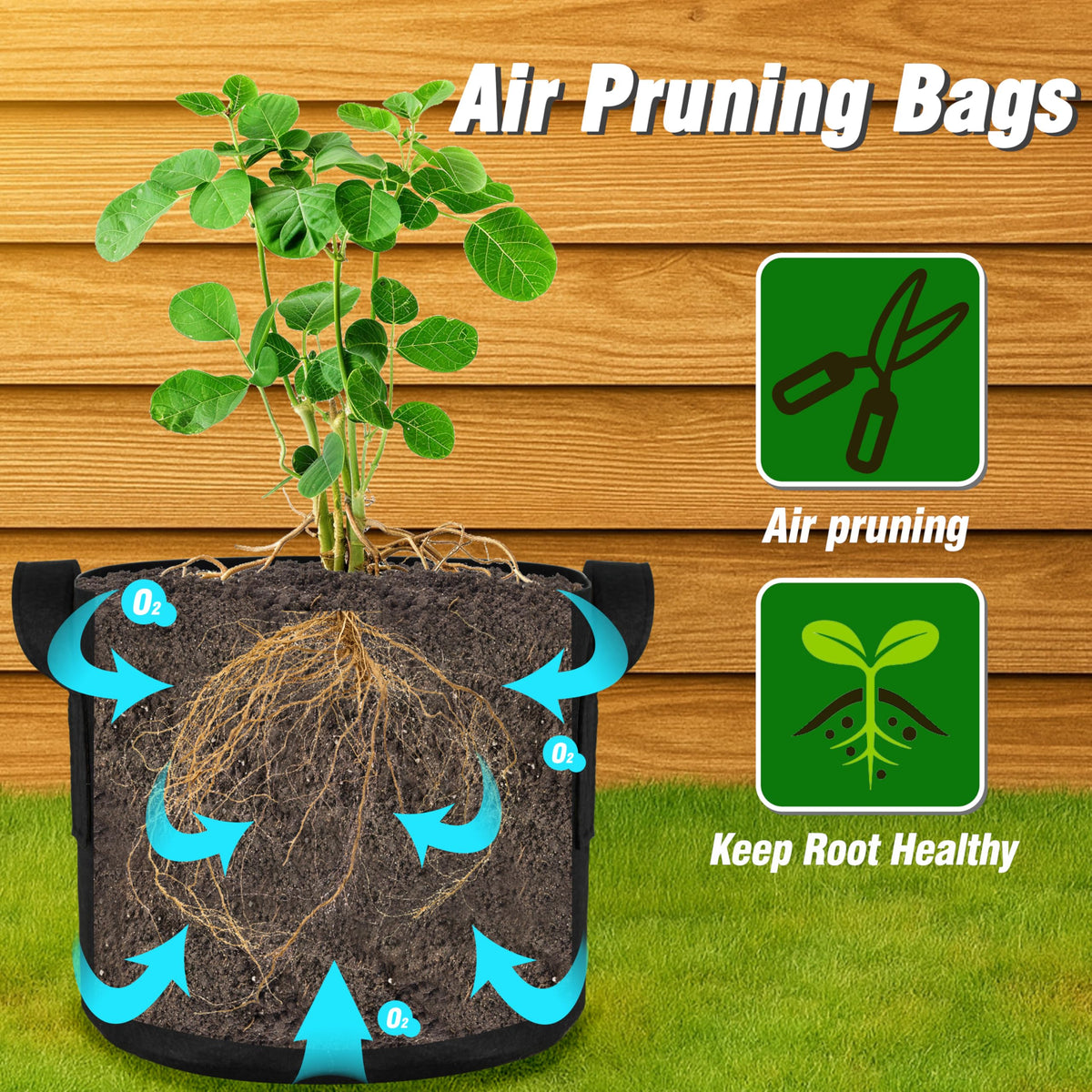 PHYEX double-stitched handles simplify moving heavy herbs.