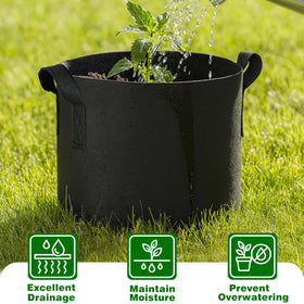 PHYEX plant labels included help identify herbs and vegetables.