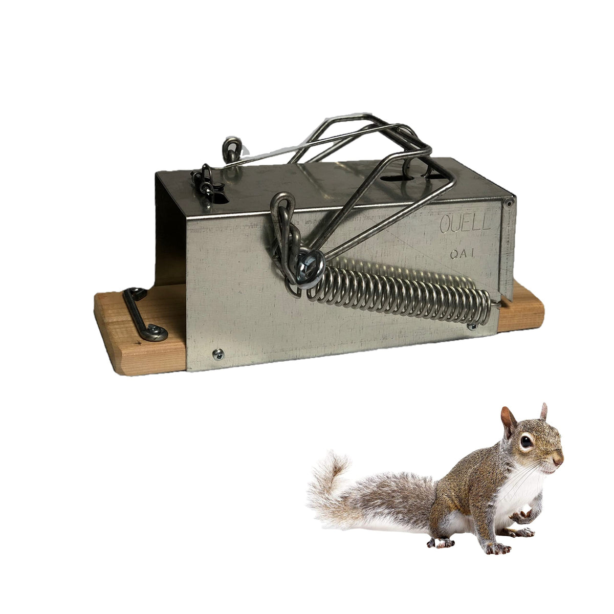 PIEGES OUELL TRAPS outdoor large squirrel trap front view for big squirrels