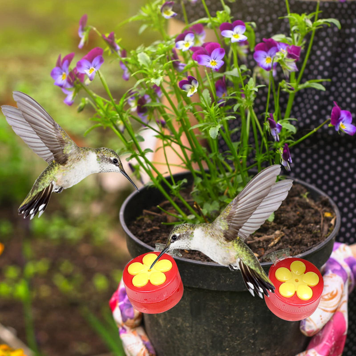 PiiSheou four port hummingbird feeder with multiple nectar portals