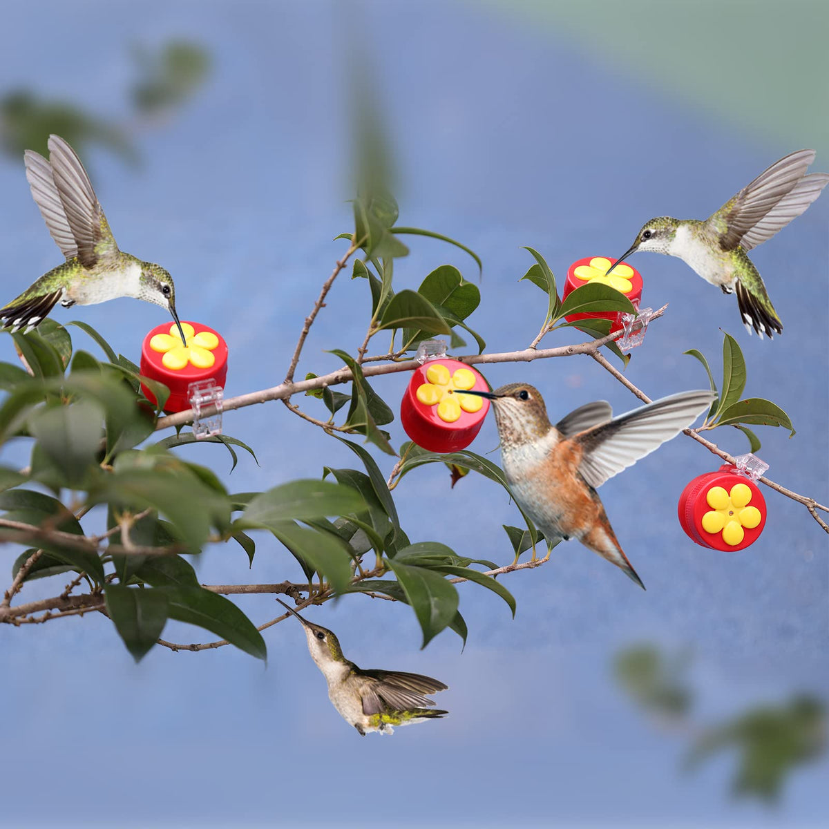 PiiSheou premium plastic hummingbird feeder offers durable outdoor use