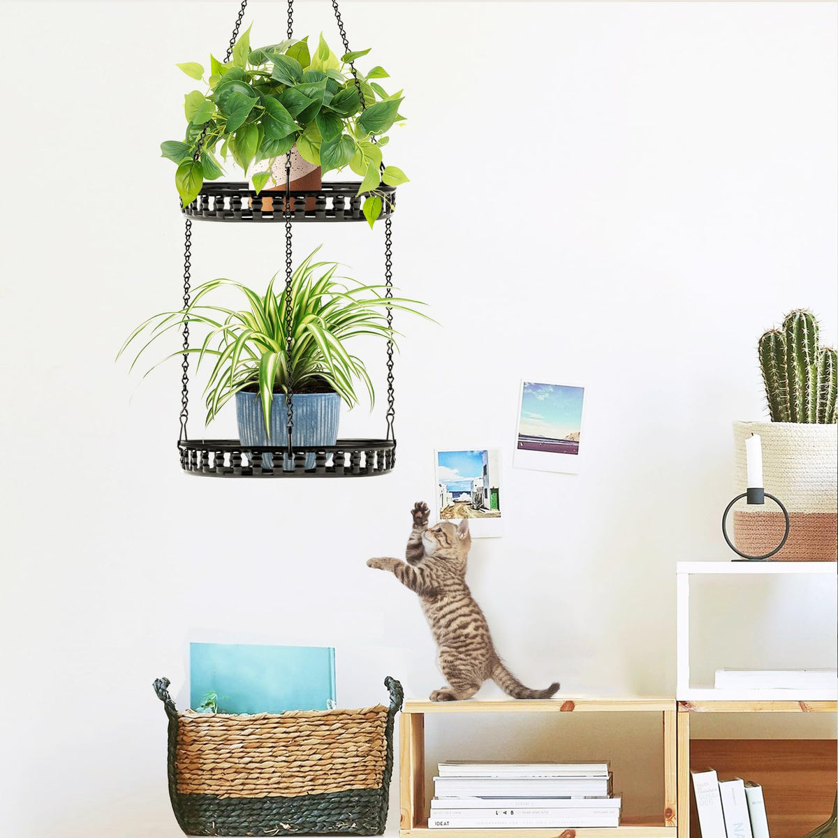 PIKAMAO 2-tier design maximizing vertical space for multiple pots.