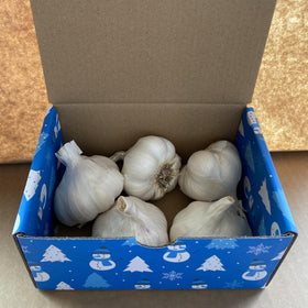 Pilestone garlic seed bulbs large-cloves peelable for easy harvest