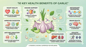 Pilestone garlic seed bulbs versatile-use for cooking and garden projects