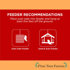Pine Tree Farms Never Melt Hot Pepper Suet Cake combines seeds and peanuts for high-energy nutrition