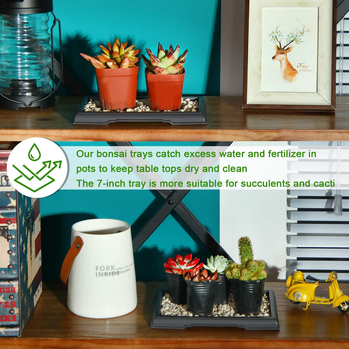 Pinkunn bonsai humidity tray protects furniture while keeping plant roots moist