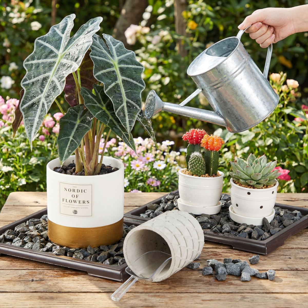 Pinkunn bonsai tray showcases 9.9x7 inch load area for most pots.