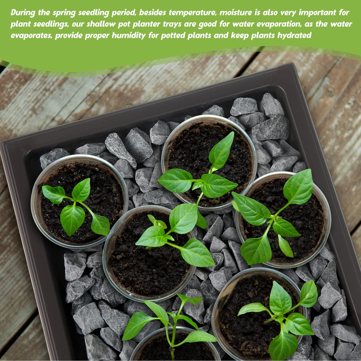 Pinkunn two-pack tray set is ideal for indoor and outdoor bonsai and succulents.