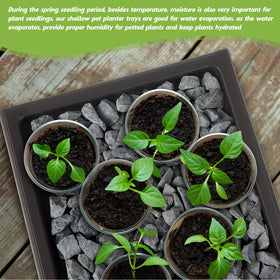 Pinkunn two-pack tray set is ideal for indoor and outdoor bonsai and succulents.