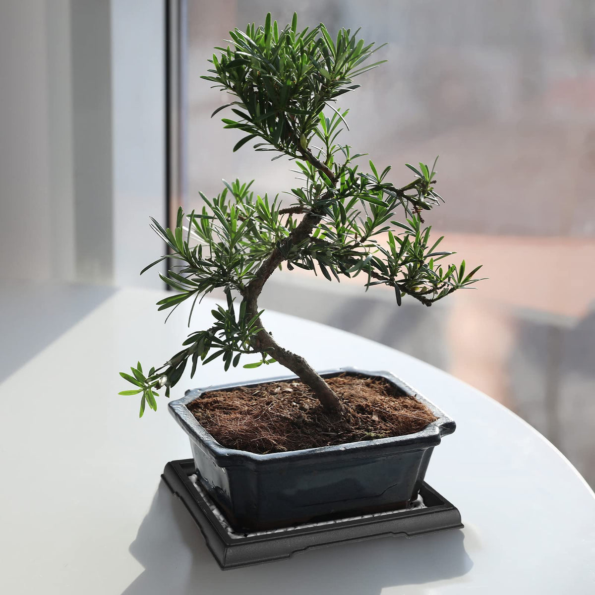 Pinkunn plastic drip tray durable material for indoor and outdoor plant use