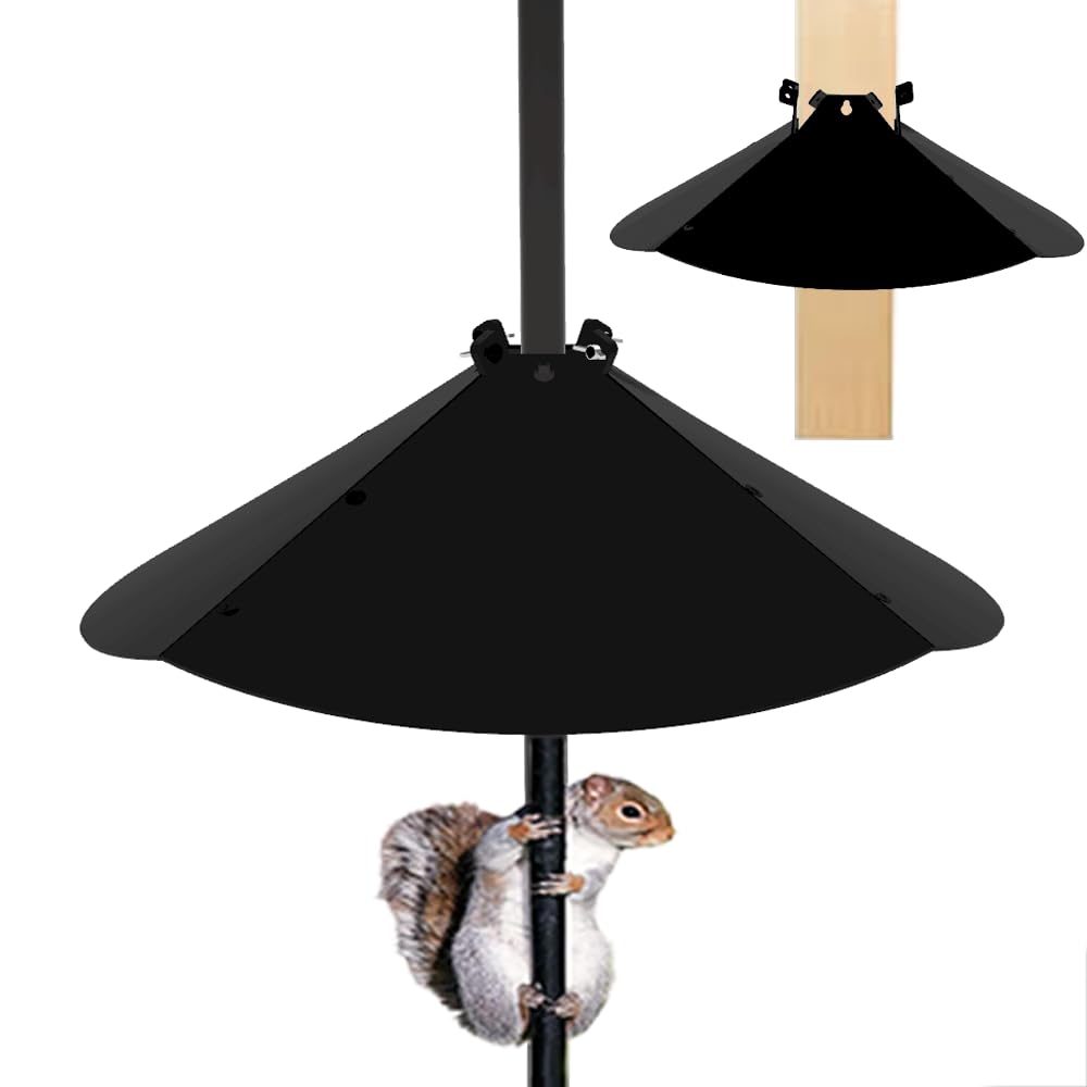 PirateAnt 20-inch squirrel baffle mounted on outdoor pole protecting bird feed