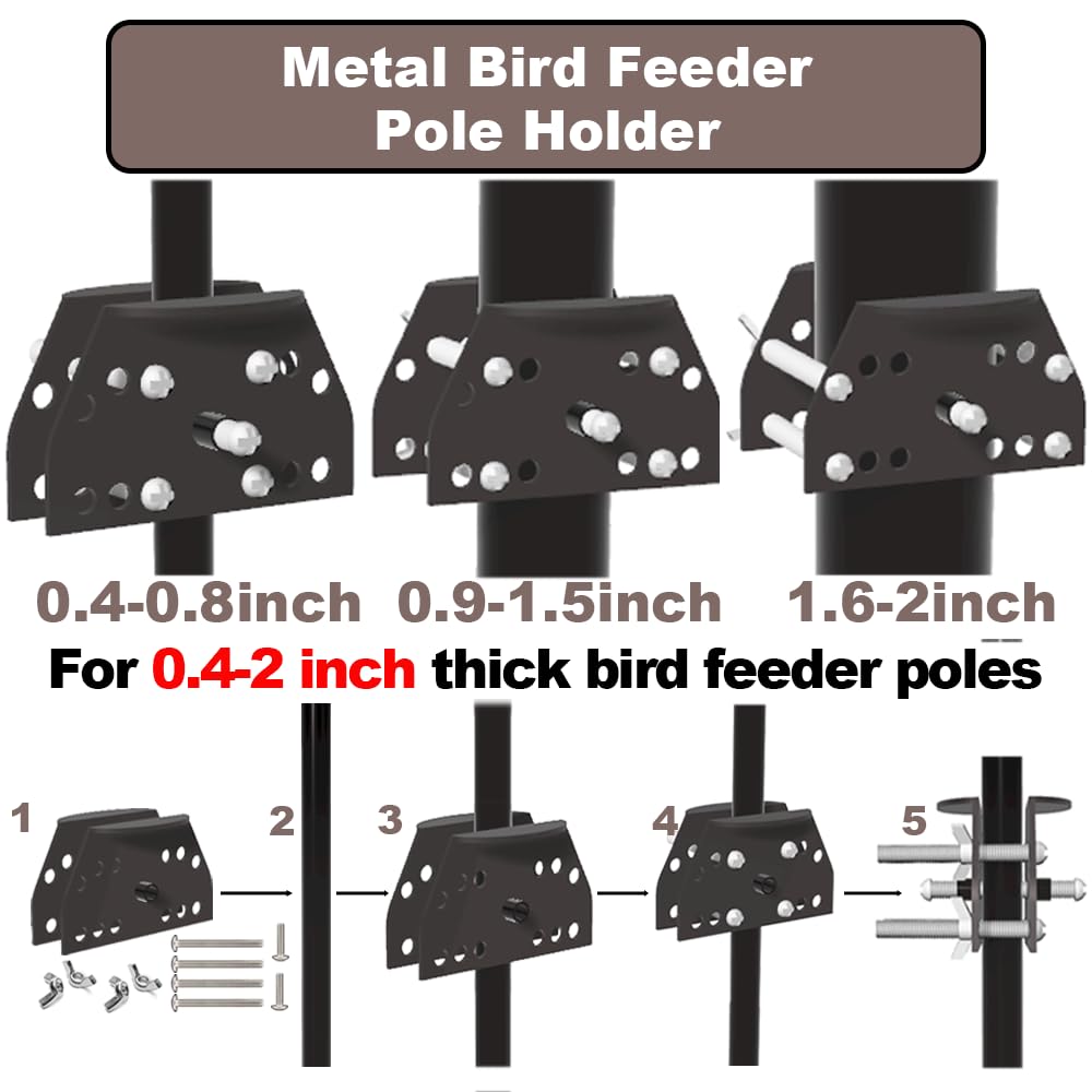 PirateAnt all-weather bird feeder protection in a garden setting