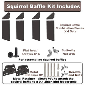 PirateAnt baffle on feeder reduces squirrel access and preserves bird activity.
