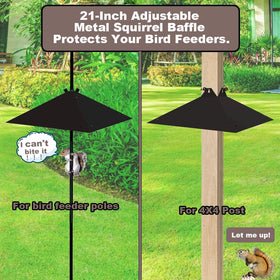 Patent-pending design adds unique value to feeder setups.