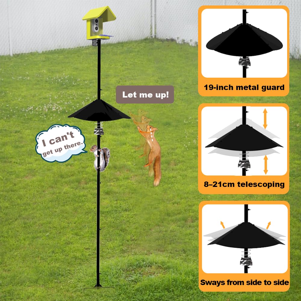 PirateAnt heavy-duty 1-inch steel pole defies wind and snow.