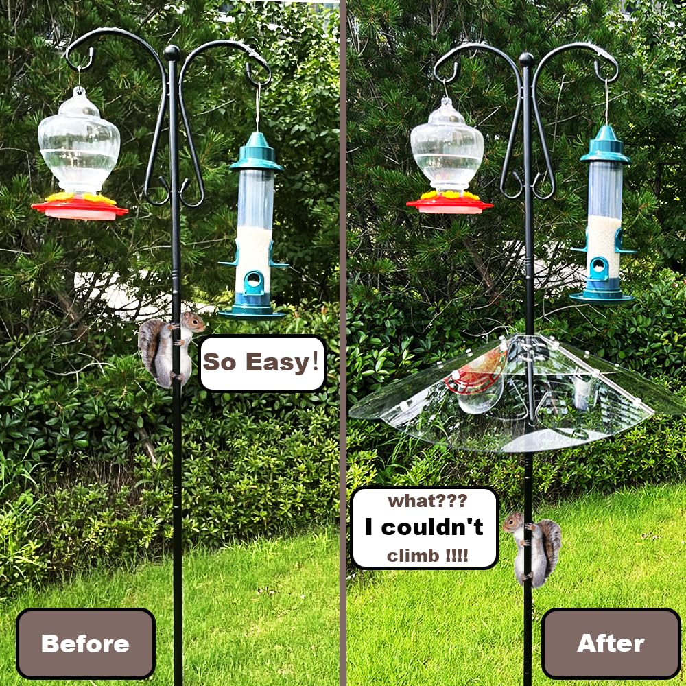 PirateAnt wide 24inch baffle design, extra coverage against squirrels.