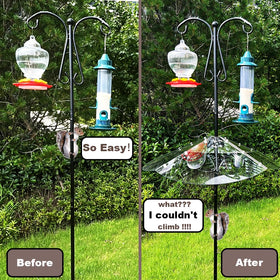 PirateAnt wide 24inch baffle design, extra coverage against squirrels.