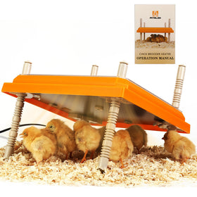 Pitalok brooder heater plate 10x10 provides compact warmth for up to 15 chicks