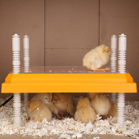Pitalok brooder heater plate designed for indoor brooding in various spaces
