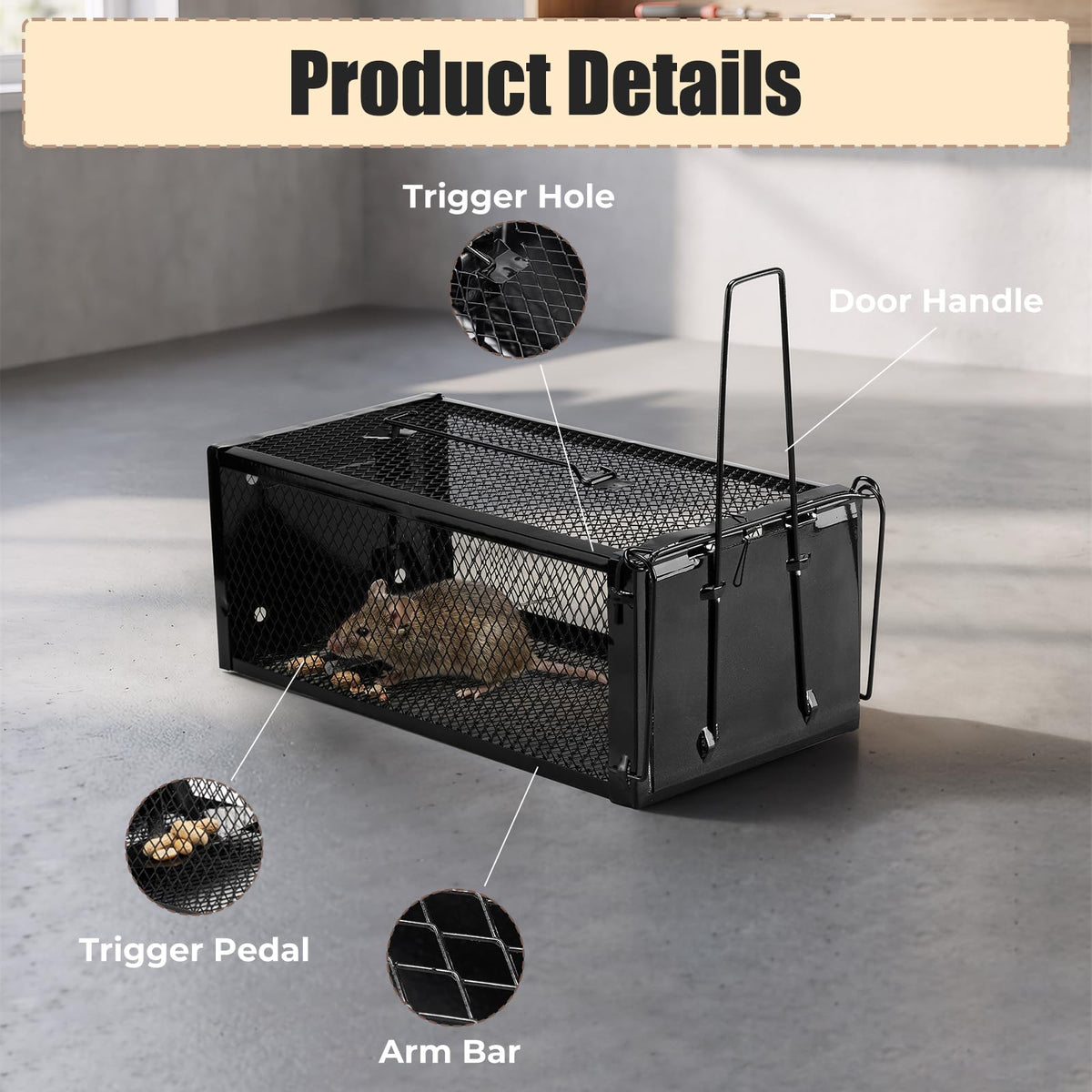 Pivmuth humane trap door closes automatically after capture