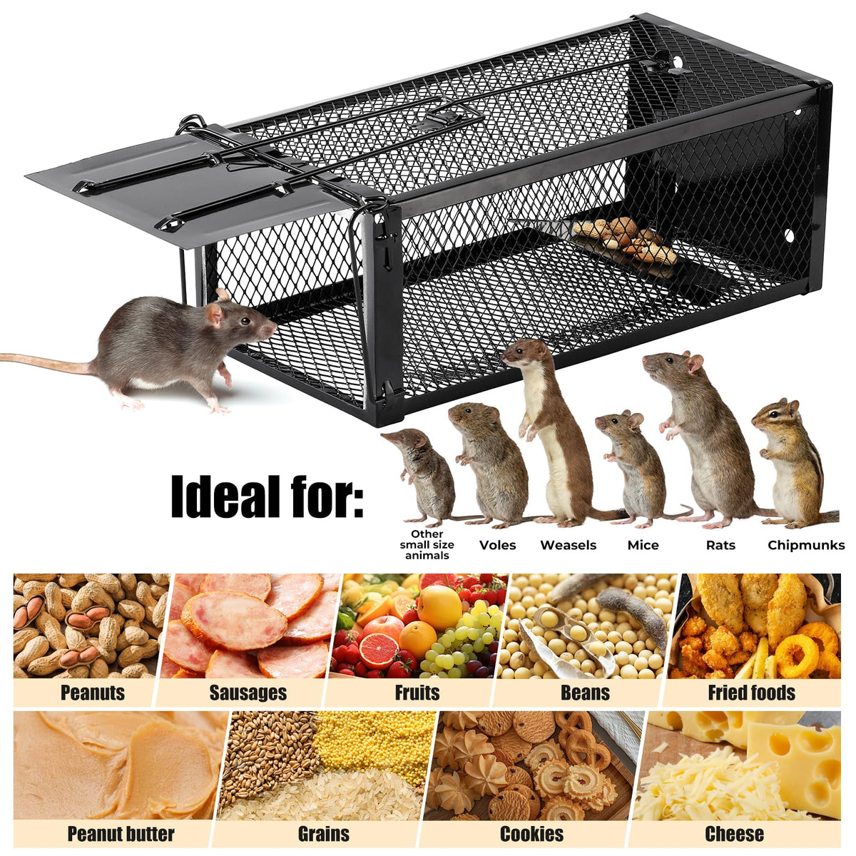 Pivmuth trap suitable for indoor and outdoor spaces