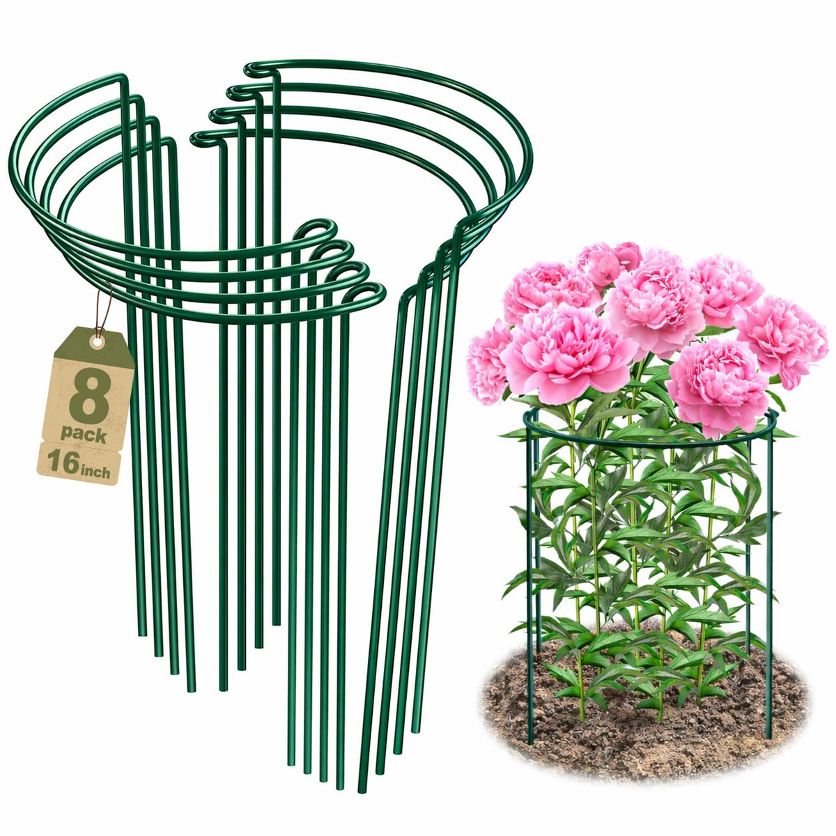 PJT 8-pack peony cages provide sturdy half-round support for tall blooms.