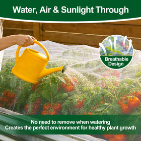 PJT bird barrier protecting blueberries and strawberries from visiting birds