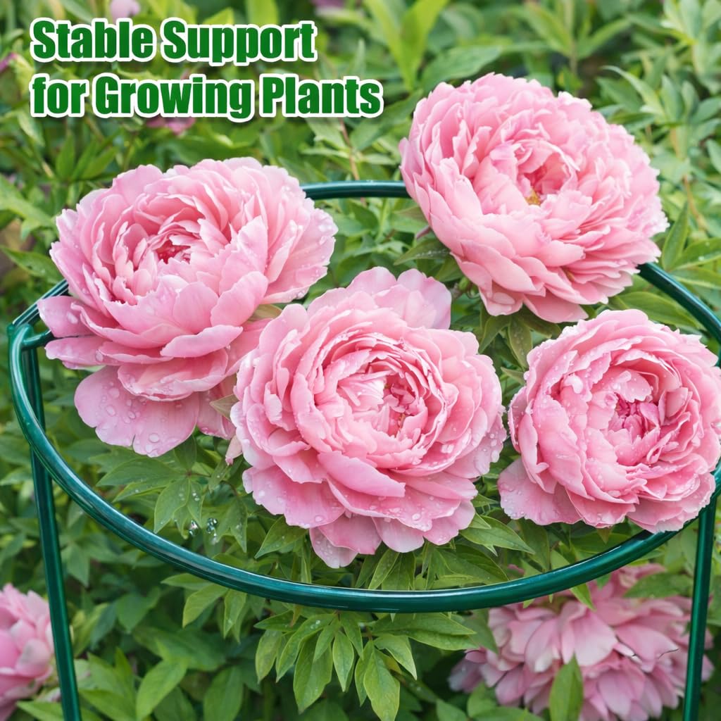 PJT garden cages organize beds and patios with a neat, natural look.