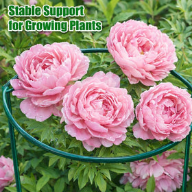 PJT garden cages organize beds and patios with a neat, natural look.
