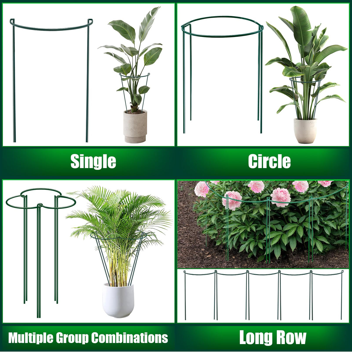 PJT versatile for indoor pots and outdoor beds in any setting.
