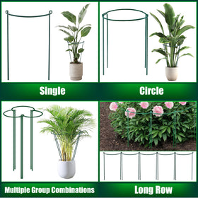 PJT versatile for indoor pots and outdoor beds in any setting.