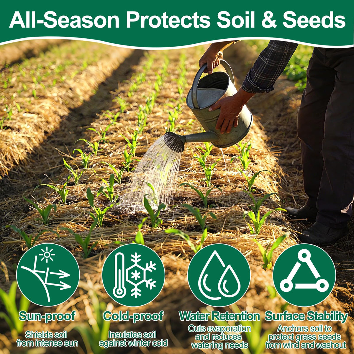 PJT Organic Garden Straw covering seedlings to protect moisture.