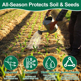 PJT Organic Garden Straw covering seedlings to protect moisture.