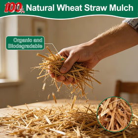PJT Organic Garden Straw spread on soil ready for planting.
