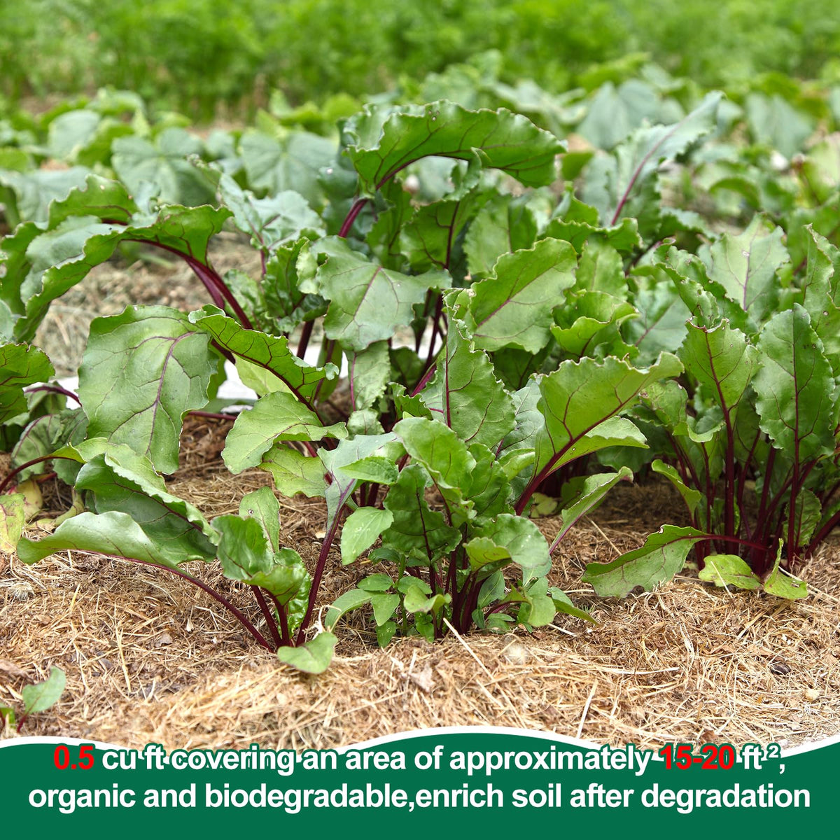 PJT Organic Garden Straw filter-process ensures seed-free quality.