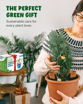PlanKKers indoor use case showing simple watering automation for healthier houseplants