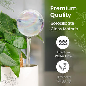 PlanKKers indoor plants hydration ease for consistent care in tight spaces.