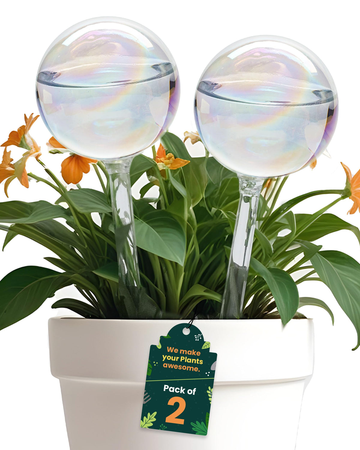 PlanKKers iridescent watering globe, large, ready to hydrate indoor plants while away.