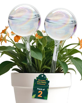 PlanKKers iridescent watering globe, large, ready to hydrate indoor plants while away.