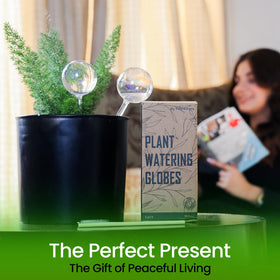 PlanKKers two-pack iridescent globes designed for multiple planters and larger pots.