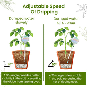 PlanKKers vacation-proof hydration globe keeps plants thriving while away.