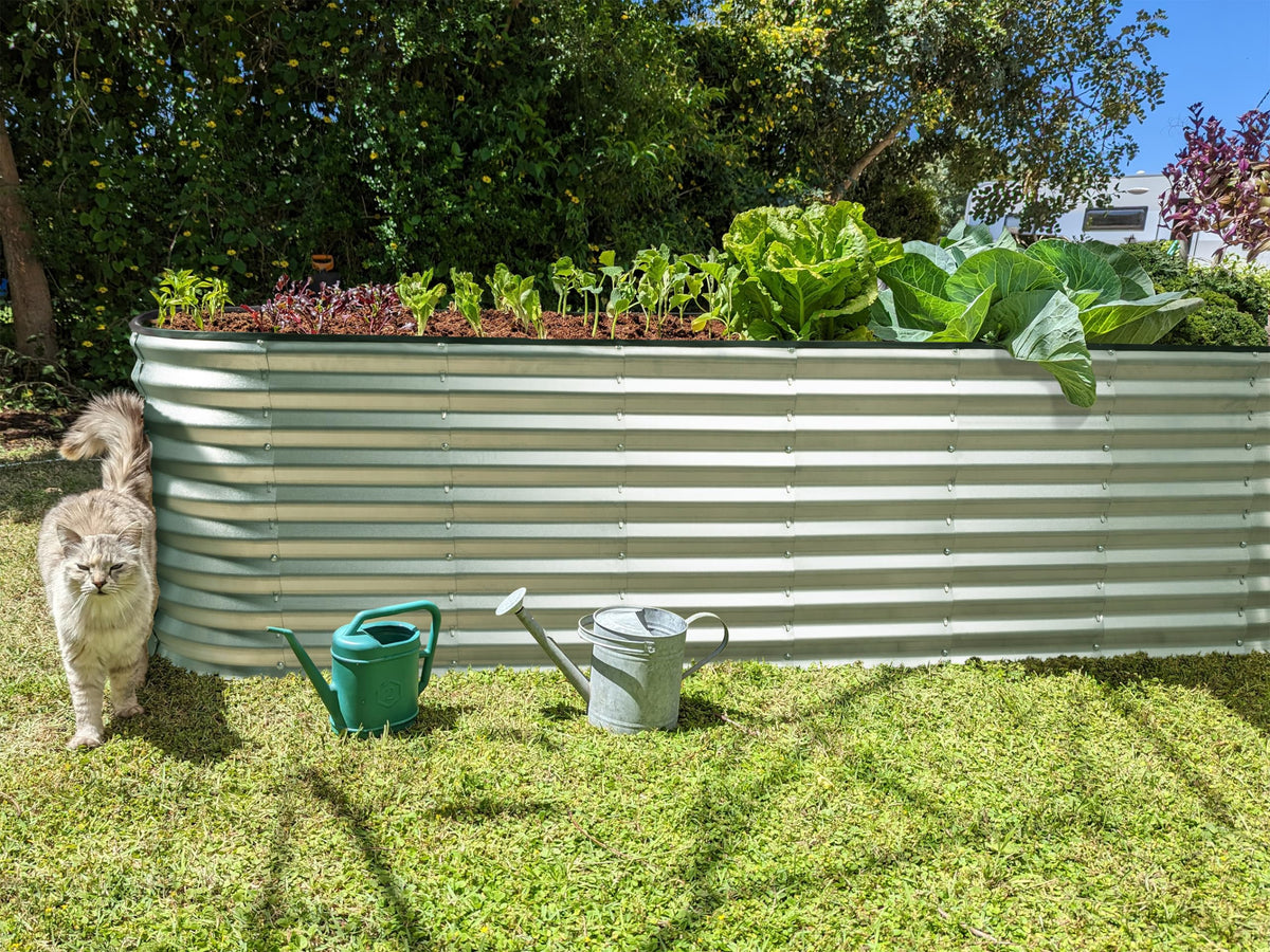 Plant & Plot bed filled with flowers and vegetables demonstrating use