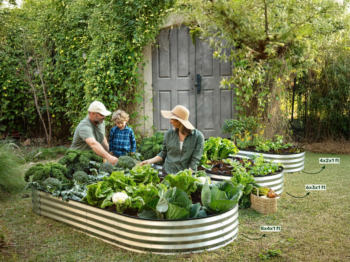 Plant & Plot community donation initiative supports schools and gardens