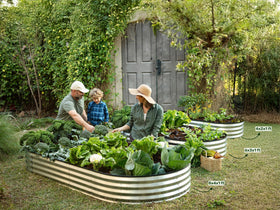 Plant & Plot community donation initiative supports schools and gardens