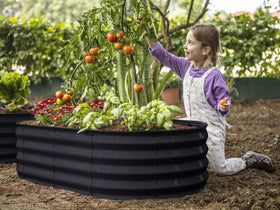 Plant & Plot community support image shows garden bed donations to schools
