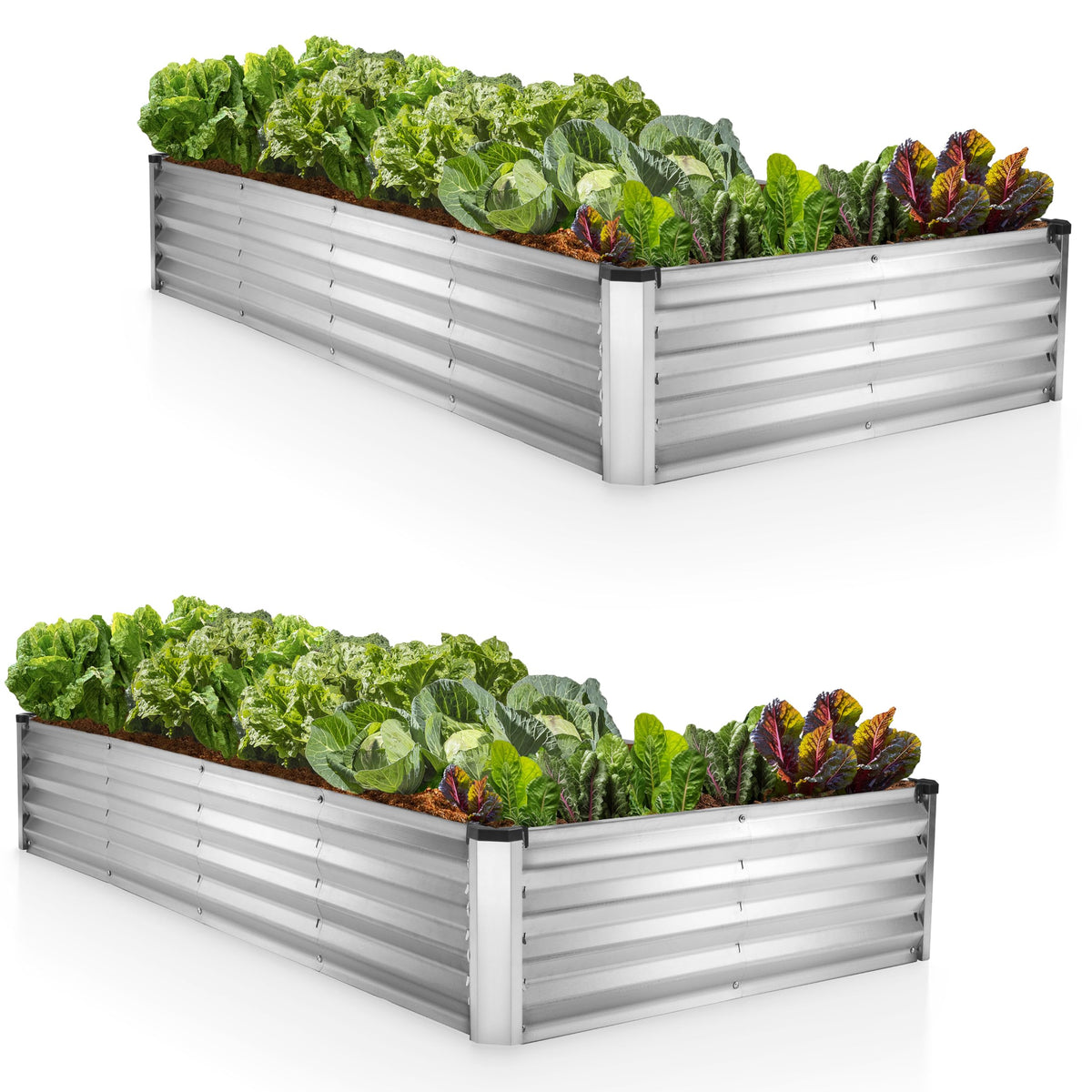 Plant & Plot galvanized raised garden bed with open-base design for spacious planting