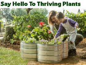 Plant & Plot tool-free assembly in under 20 minutes for busy gardeners.