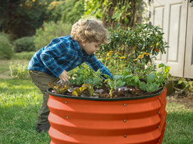 Plant & Plot planting in action showing space for vegetables and flowers