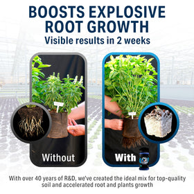 Great White applied to soil with roots showing enhanced rooting